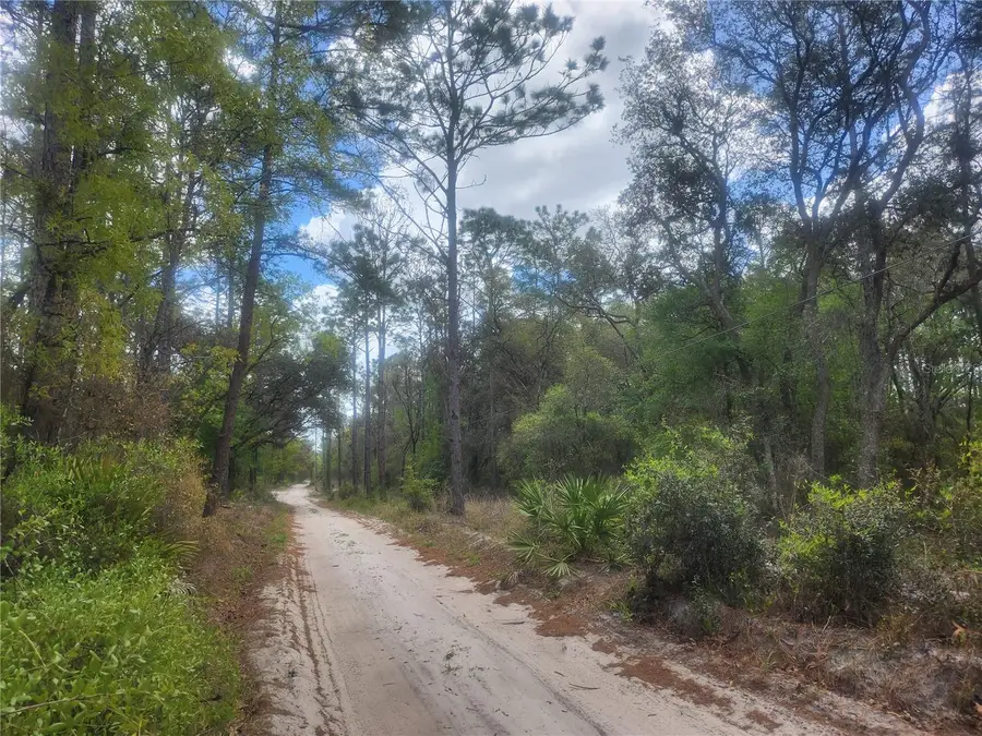 7446 SW 151st Place, Dunnellon, FL 34432 - #3