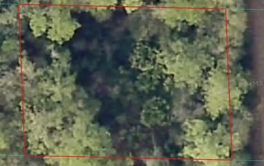 00 NE 66th Court, Citra, FL 32113 - #2