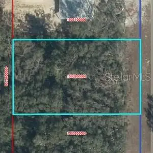 NW 100, CHIEFLAND, FL 32626