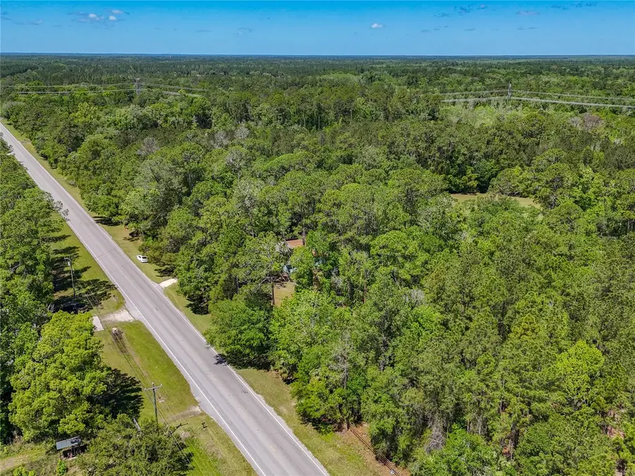 10371 E Highway 316, Fort McCoy Anthony, FL 32134 - #3
