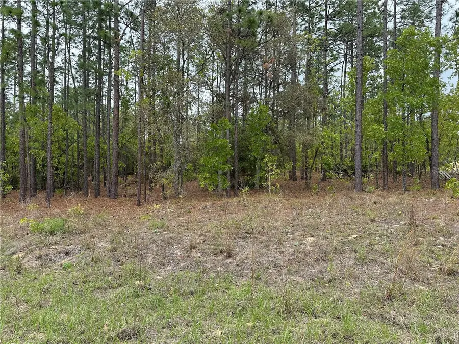 Sw 125th Court Rd, Dunnellon, FL 34432 - #3