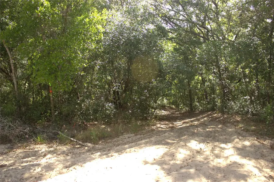 Redbud Road, Lady Lake, FL 32159 - #2