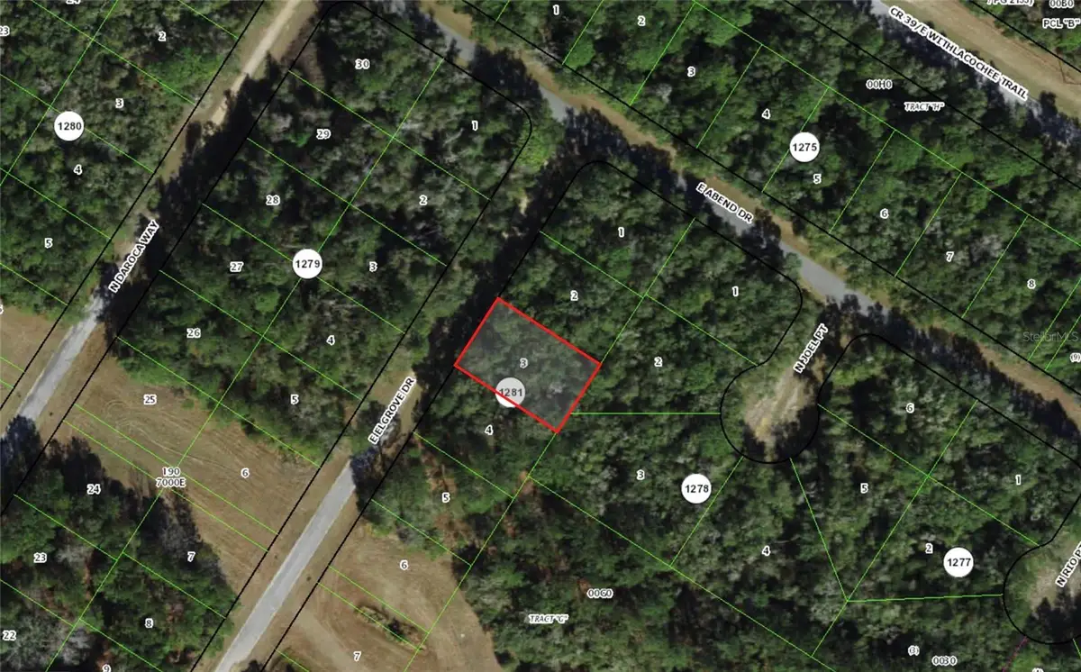 762 E Elgrove Drive, Dunnellon, FL 34434 - #1