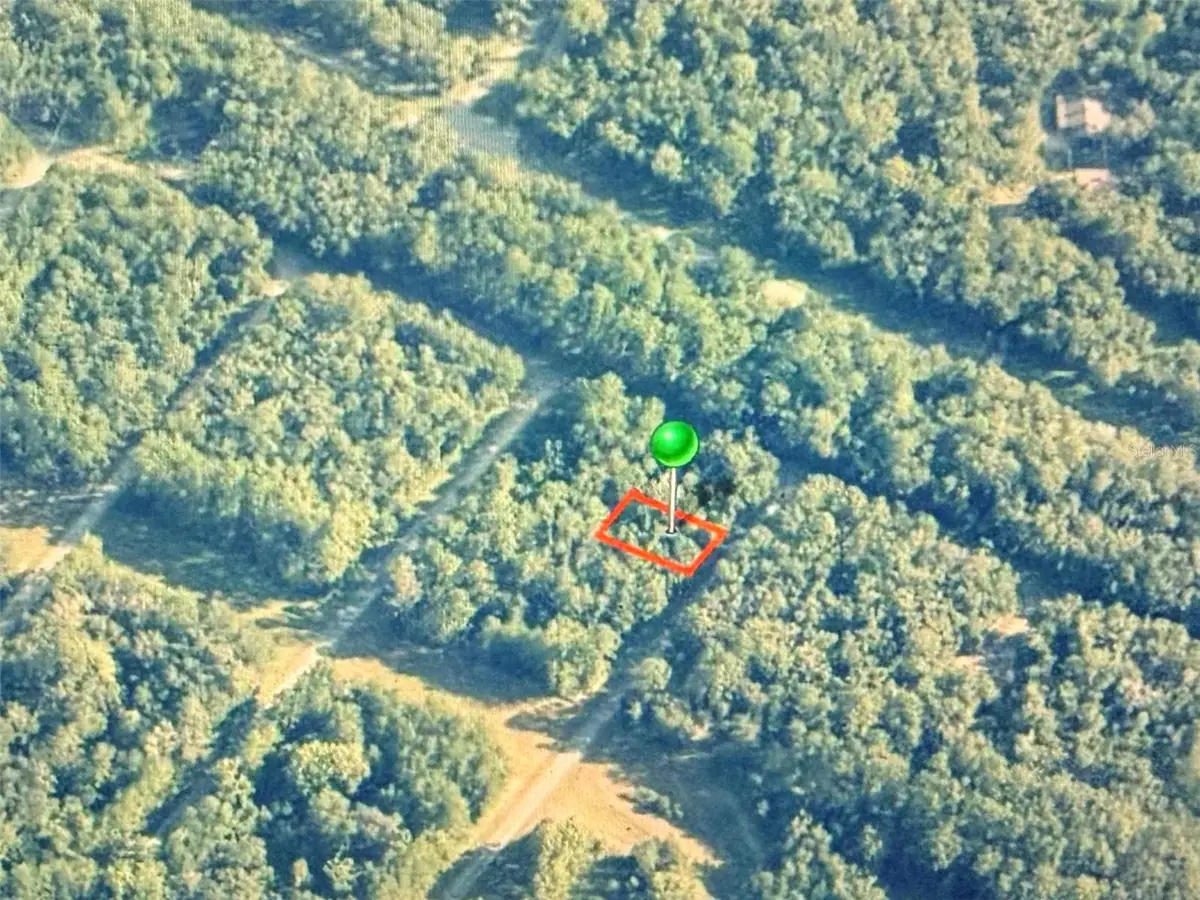 775 E Elgrove Drive, Citrus Springs, FL 34434 - #1