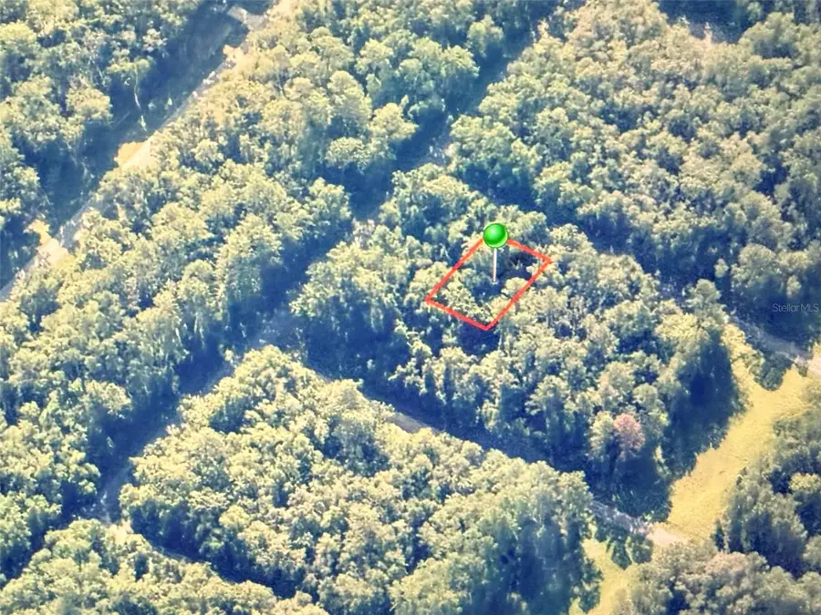 775 E Elgrove Drive, Citrus Springs, FL 34434 - #2