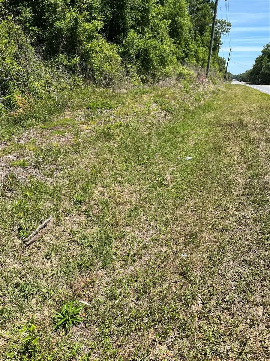 00 W Hwy 40, Lot 11, Ocala, FL 34481 - #3