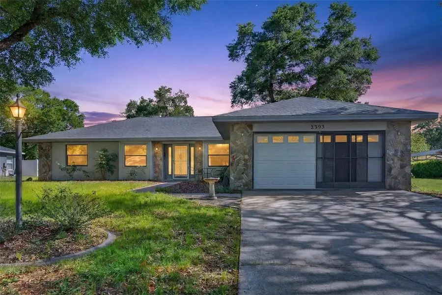 2393 W Fairway Loop, Citrus Springs, FL 34434 - #2