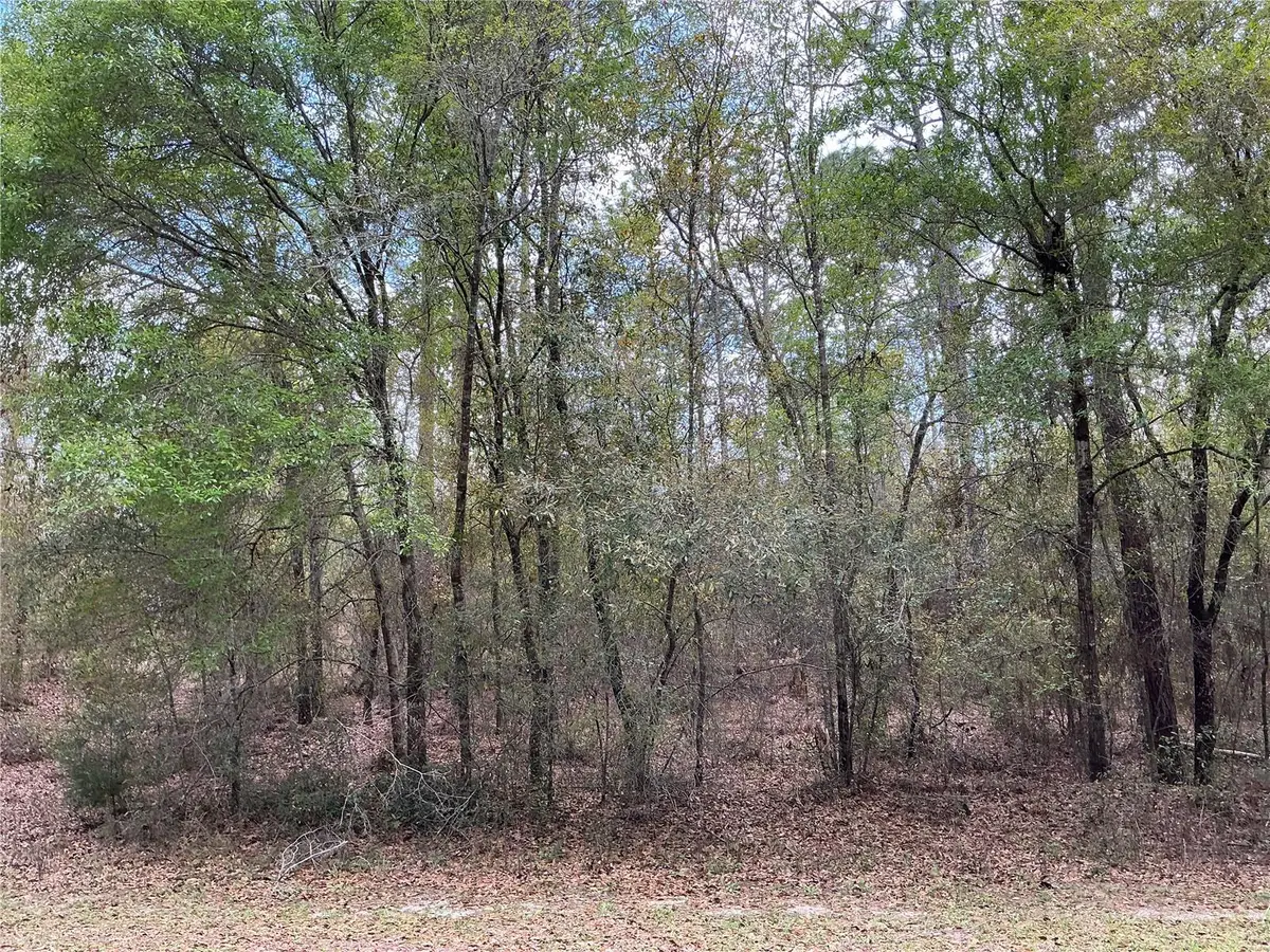 SW 208th Circle, Dunnellon, FL 34431 - #1