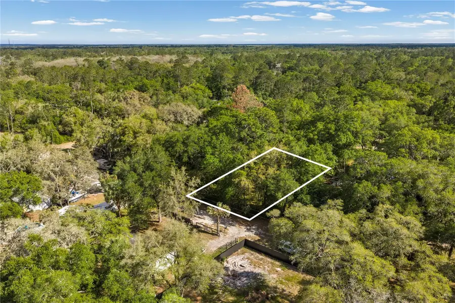 000 NE 153 Street, Fort McCoy Anthony, FL 32134 - #2