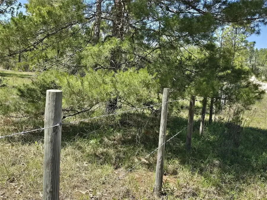 00 NE 129th Avenue, Williston, FL 32696 - #3