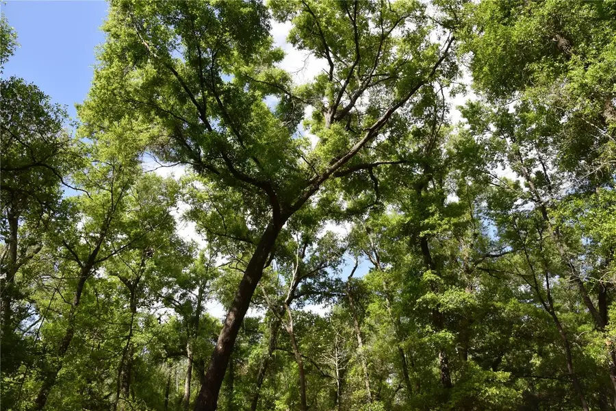 1859 NE 46th Circle, High Springs, FL 32643 - #3