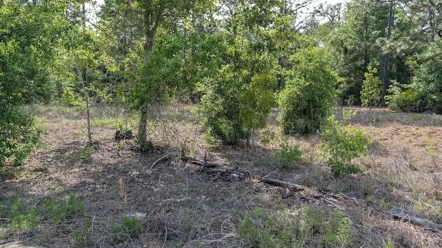 Lot 88 SW 152 Nd Court, Ocala, FL 34481 - #2