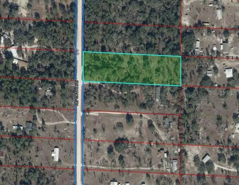 7231 NE 136th Avenue, Williston, FL 32696 - #3