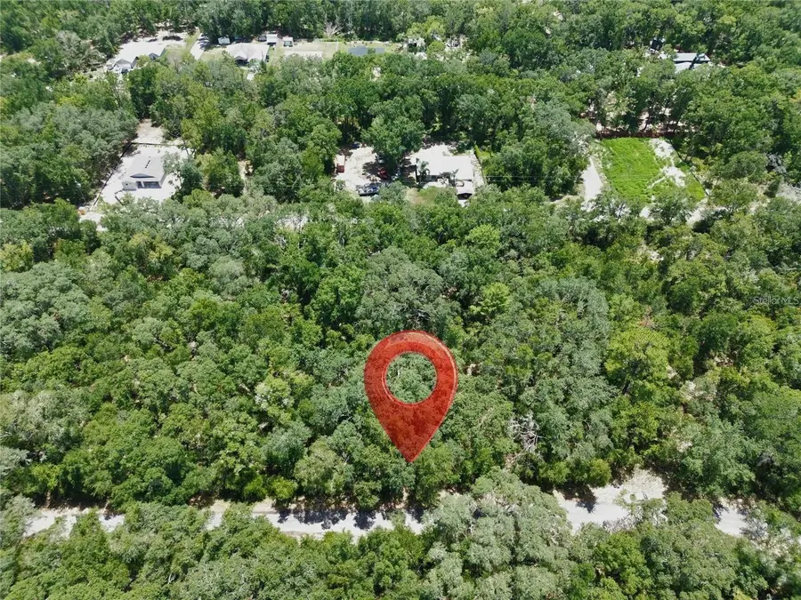 TBD Fisher Lane Drive, Ocklawaha, FL 32179 - #2