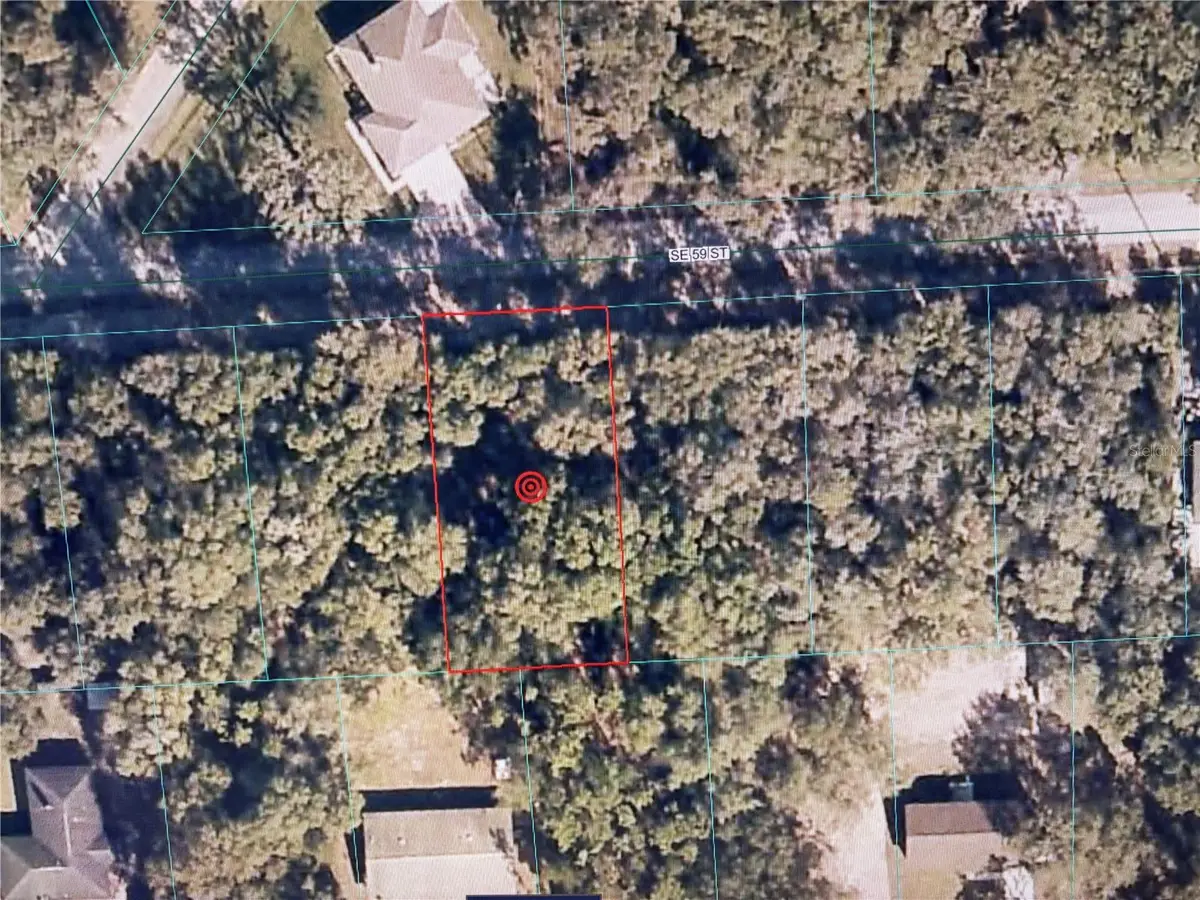16604 SE 59th Street, Ocklawaha, FL 32179 - #1