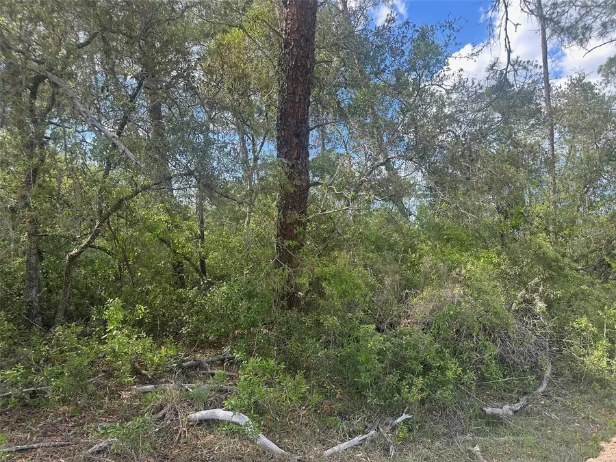Lot 6 SW 170th Place, Ocala, FL 34473 - #2