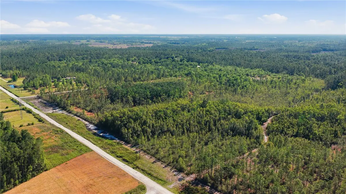 TBD NE 125th Avenue, Fort McCoy Anthony, FL 32134 - #1