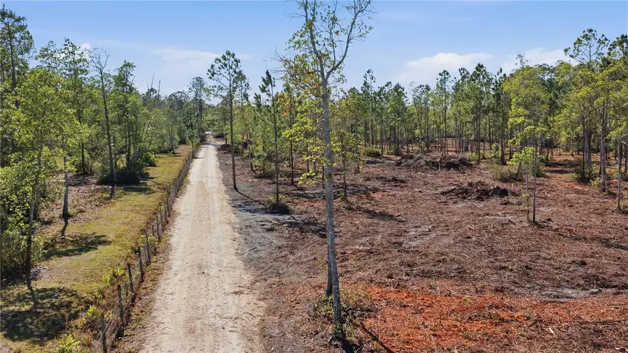 TBD NE 125th Avenue, Fort McCoy Anthony, FL 32134 - #2