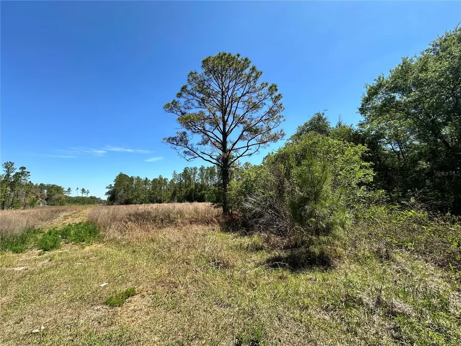TBD NE 128th Lane, Bronson, FL 32621 - #2