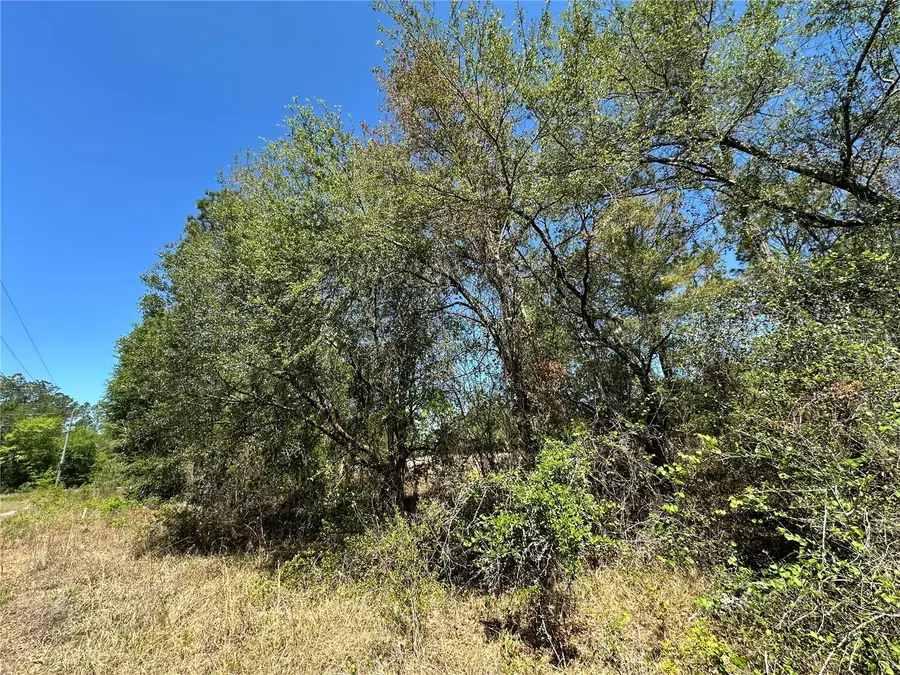 TBD NE 128th Lane, Bronson, FL 32621 - #3