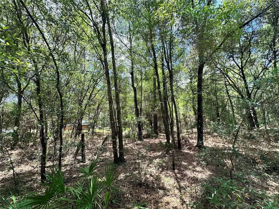 13070 NE 78th Place, Bronson, FL 32621 - #3