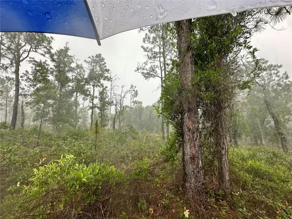 TBD SE 130th Court, DUNNELLON, FL 34431