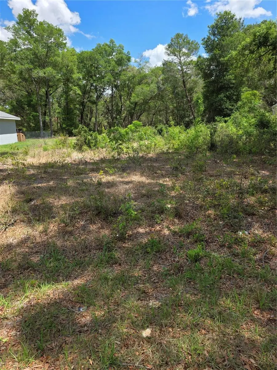 10679 SW 110th Court, Dunnellon, FL 34432 - #1