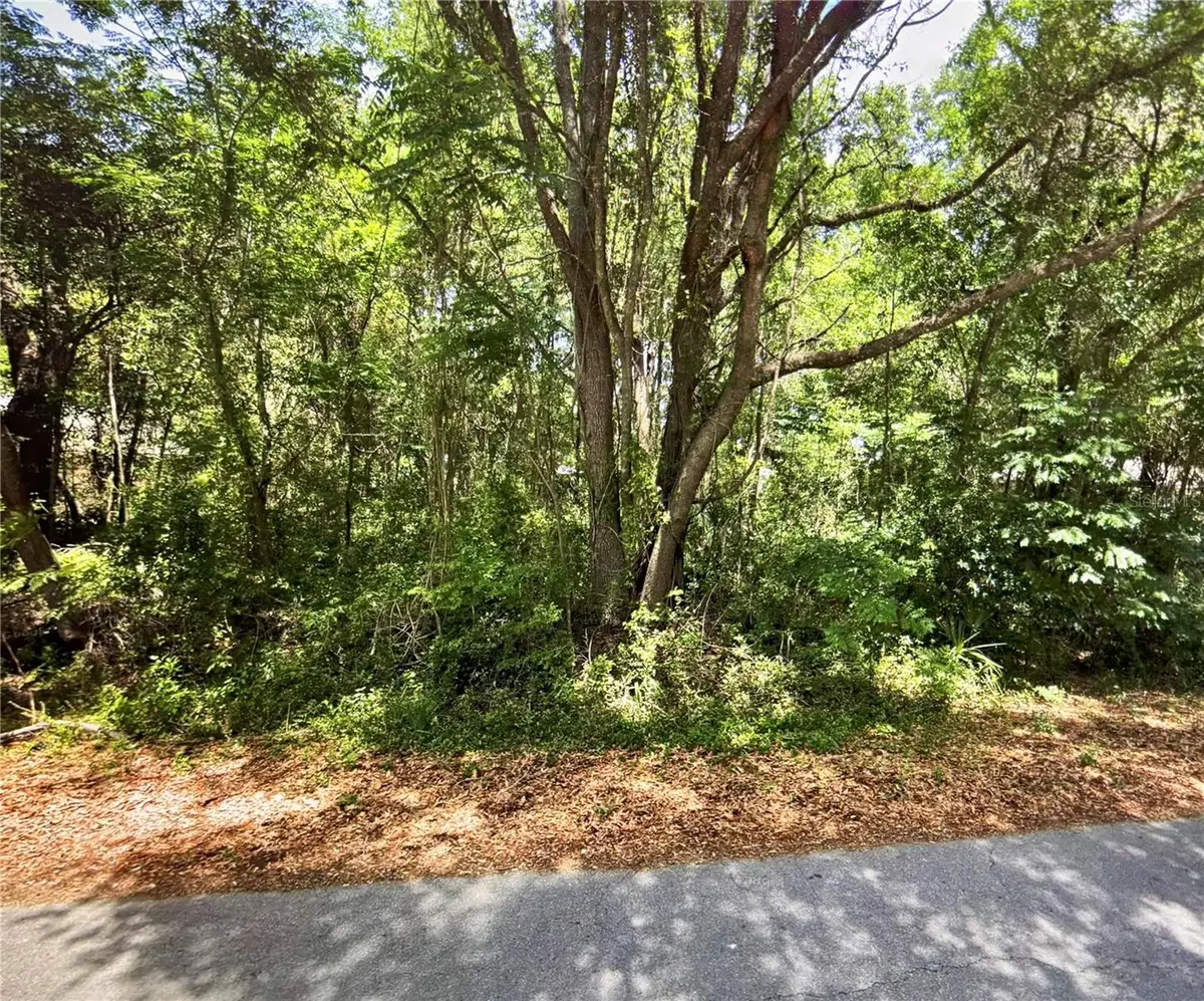 41 Pine Trace Course, Ocala, FL 34472 - #1