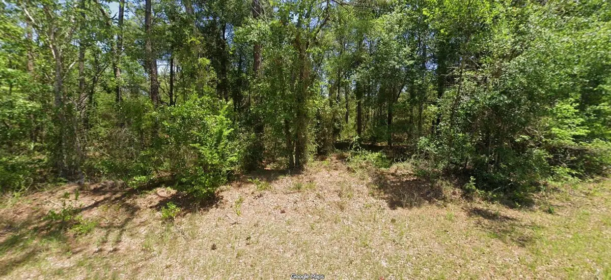 NW Buena Vista Rd, Dunnellon, FL 34431 - #1