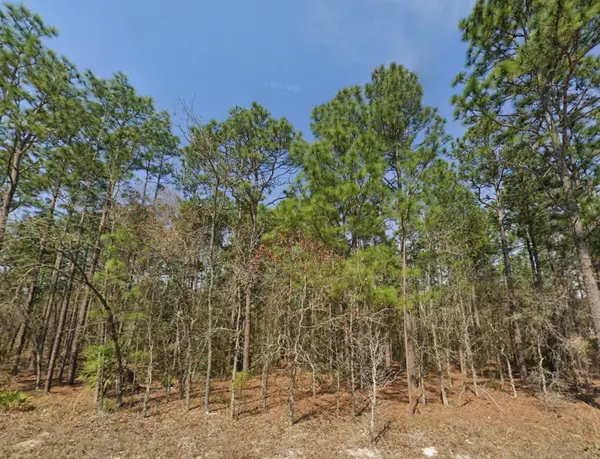 TBD SW 128th Terrace Road, OCALA, FL 34481