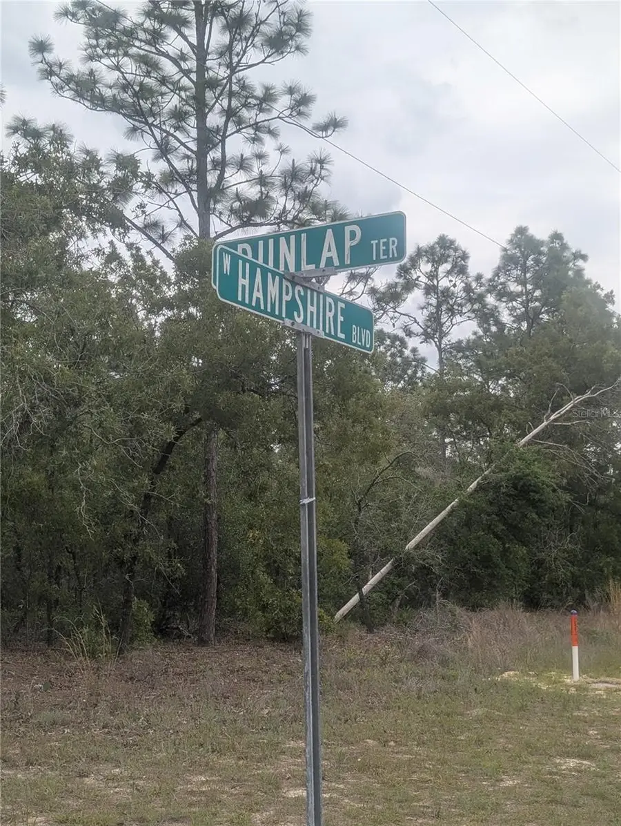 6443 N Dunlap Terrace, Citrus Springs, FL 34433 - #2