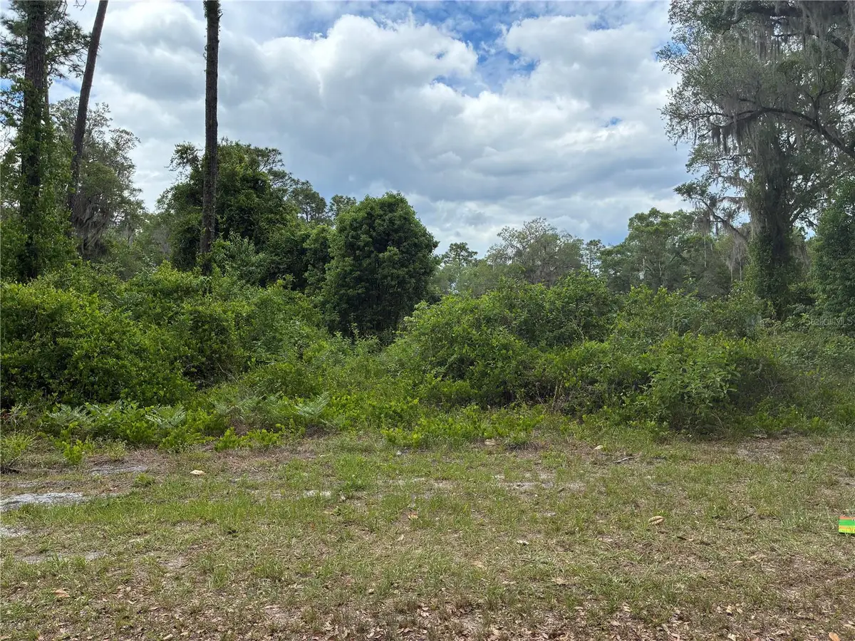 00 SE 87 Street, Ocklawaha, FL 32179 - #1