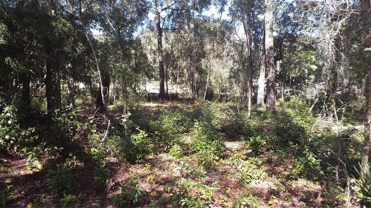 6887 W Dumaine Lane, Dunnellon, FL 34433 - #1