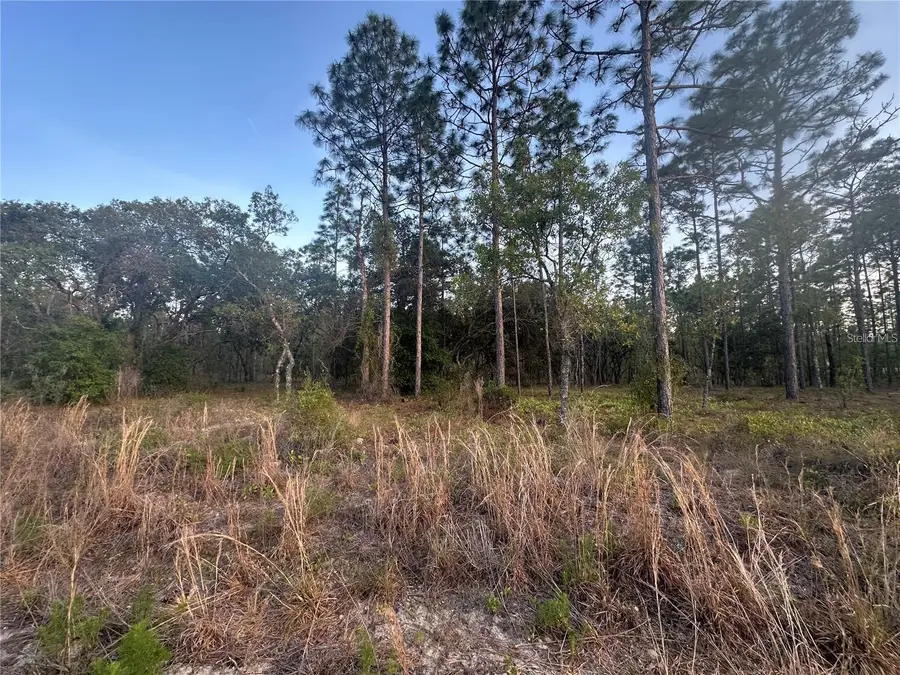 LOT 3 NW Amberjack Ave., Dunnellon, FL 34431 - #3