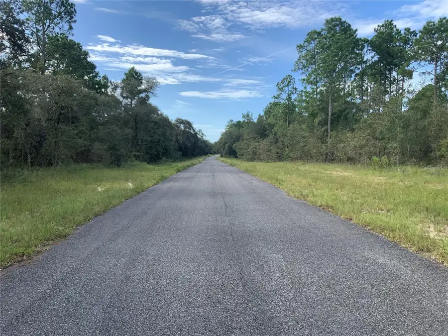 00 SE 139th Lot 23 Terrace, Morriston, FL 32668 - #3