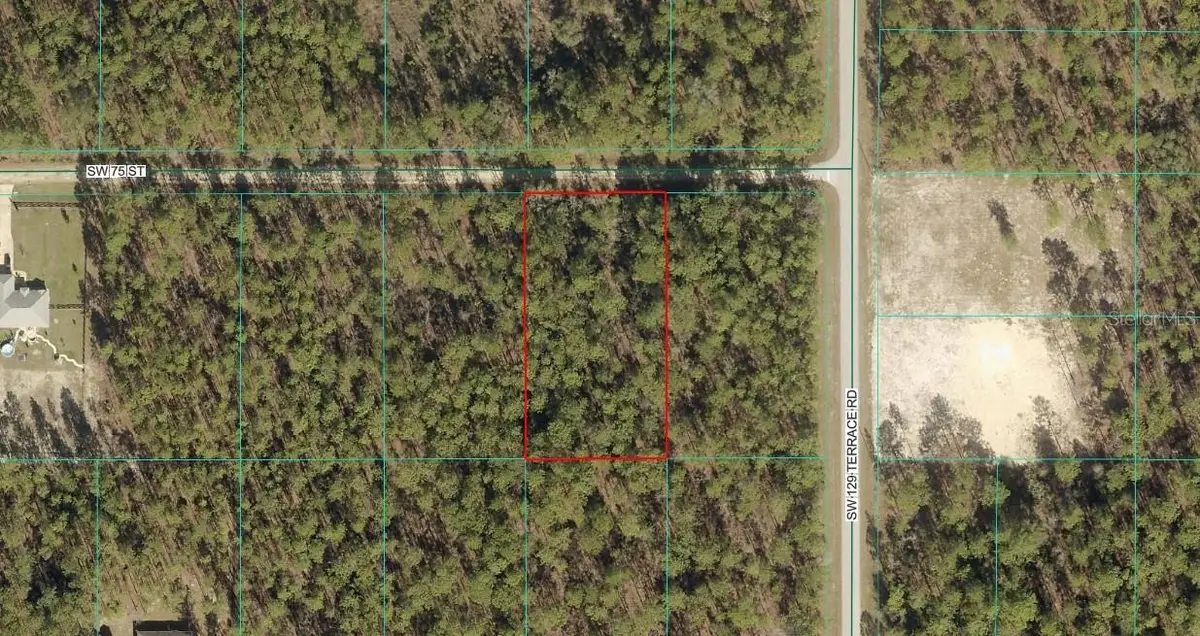 TBD LOT 8 SW 65th Street, Dunnellon, FL 34432 - #1