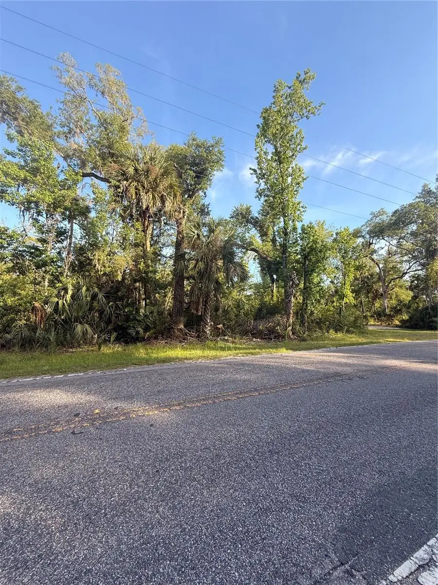 10274 W Ozello Trail, Crystal River, FL 34429 - #3