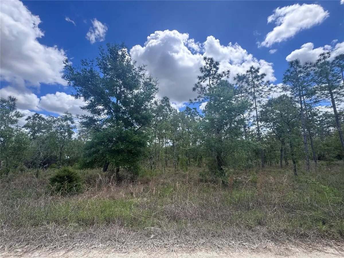 TBD NE 15oth Court, Williston, FL 32696 - #1