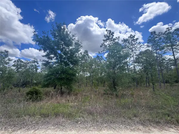 TBD NE 15oth Court, WILLISTON, FL 32696