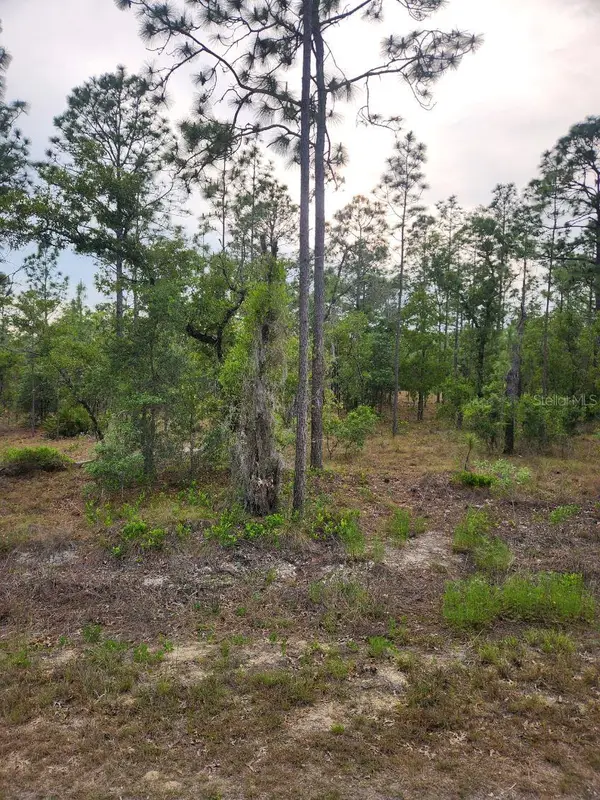00 SE 130th Ct, DUNNELLON, FL 34431