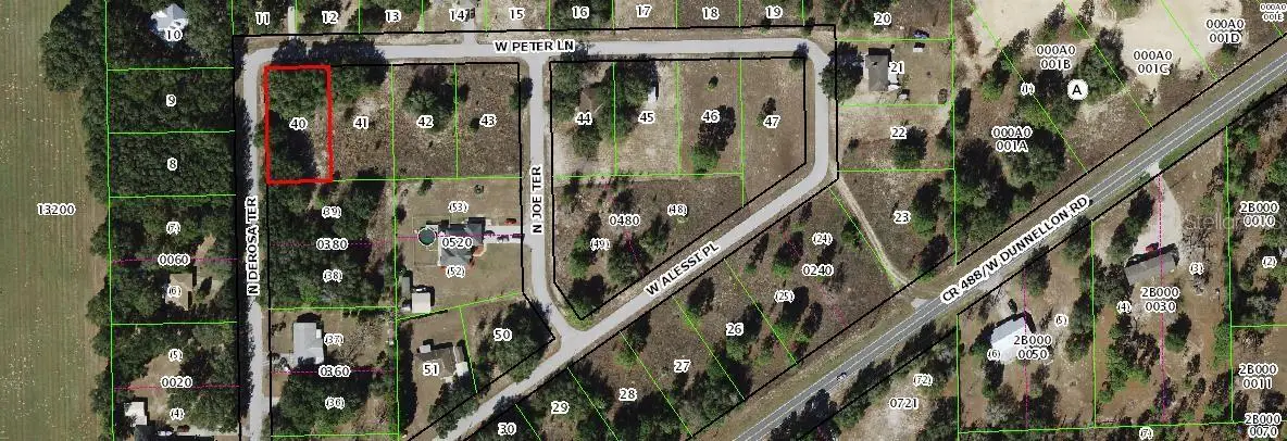 6198 W Peter Lane, Dunnellon, FL 34433 - #1