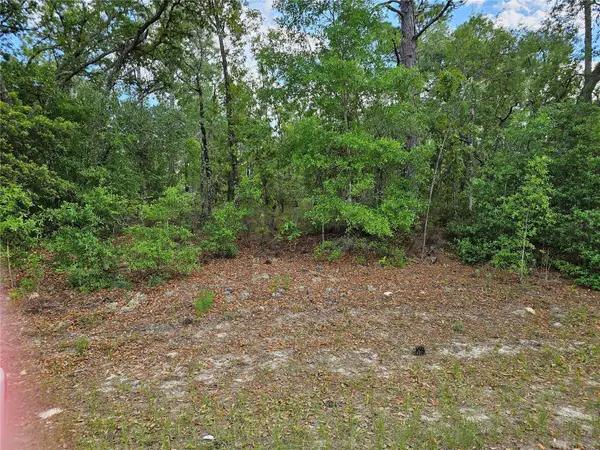 1681 W Skyline Drive, DUNNELLON, FL 34434