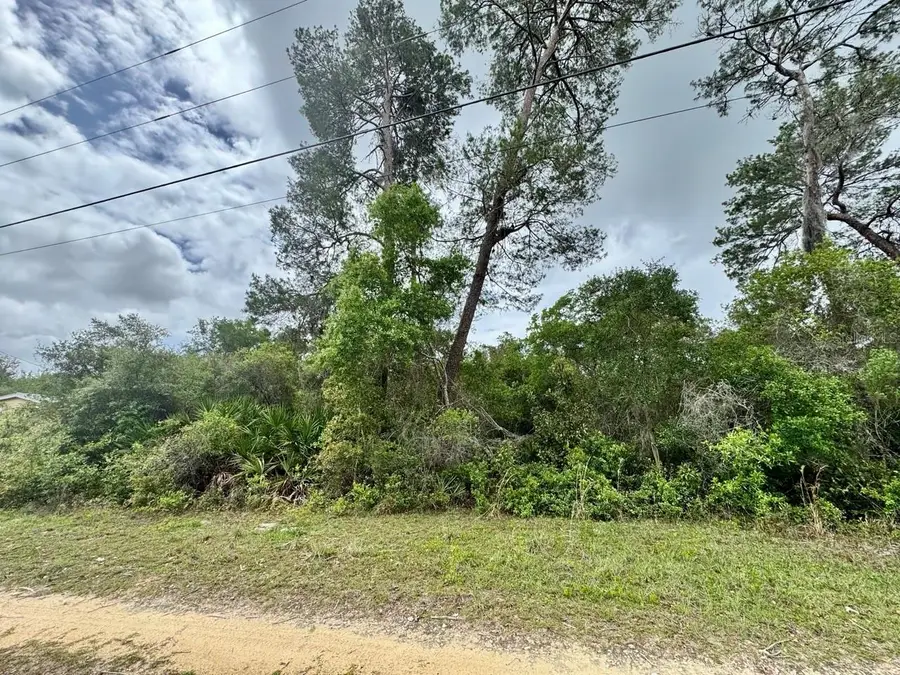 NE 134th Place, Salt Springs, FL 32134 - #2