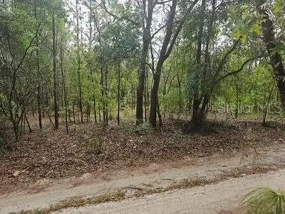 0 SW 90, Dunnellon, FL 34432 - #1