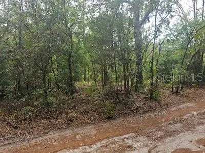 0 SW 90, Dunnellon, FL 34432 - #2