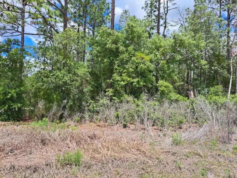 0 SW 125 Court Road, Dunnellon, FL 34432 - #3