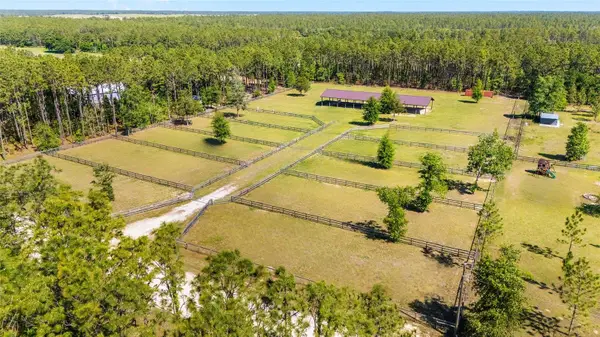 13531 SE 54th Street, MORRISTON, FL 32668