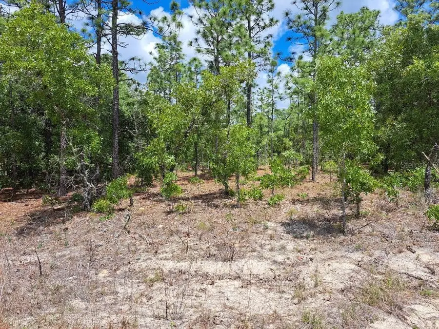 0 SW 125 Terrace, Dunnellon, FL 34432 - #3