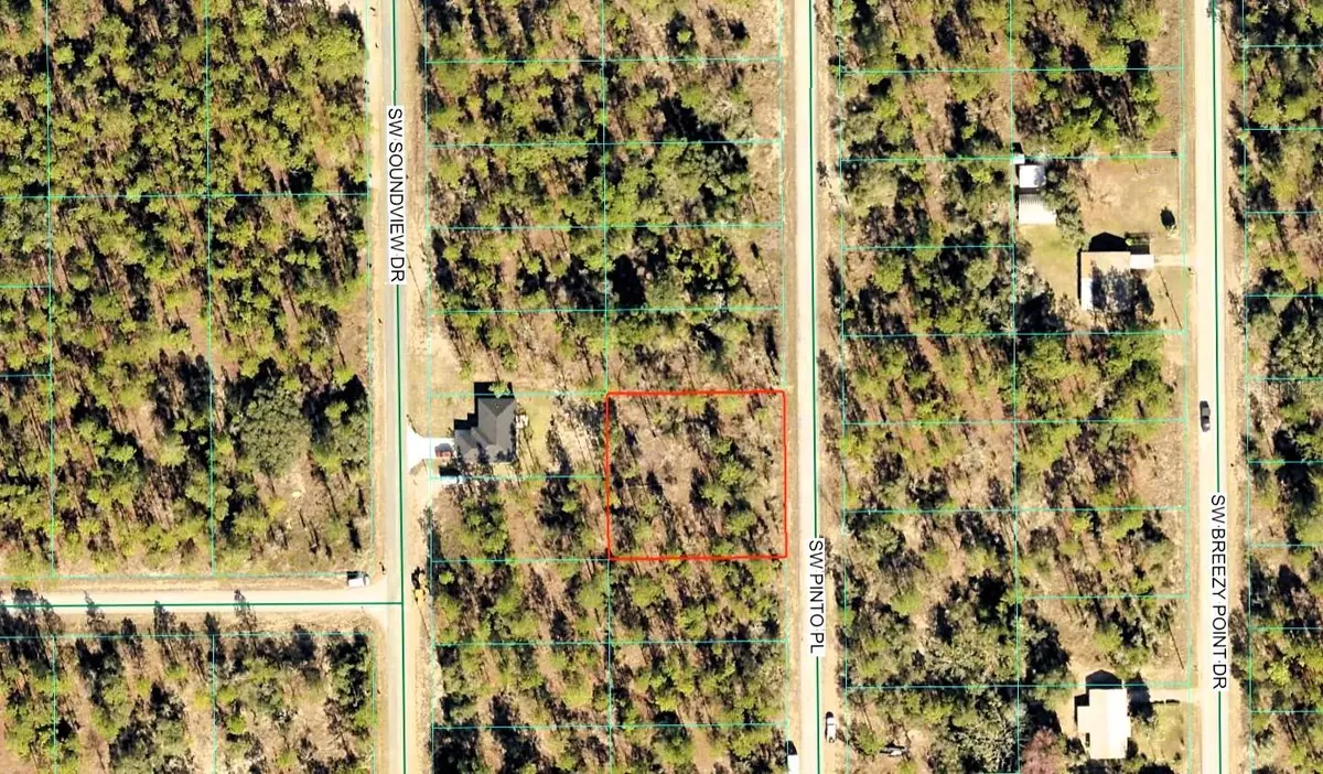 Sw Pinto Pl, Dunnellon, FL 34431 - #1