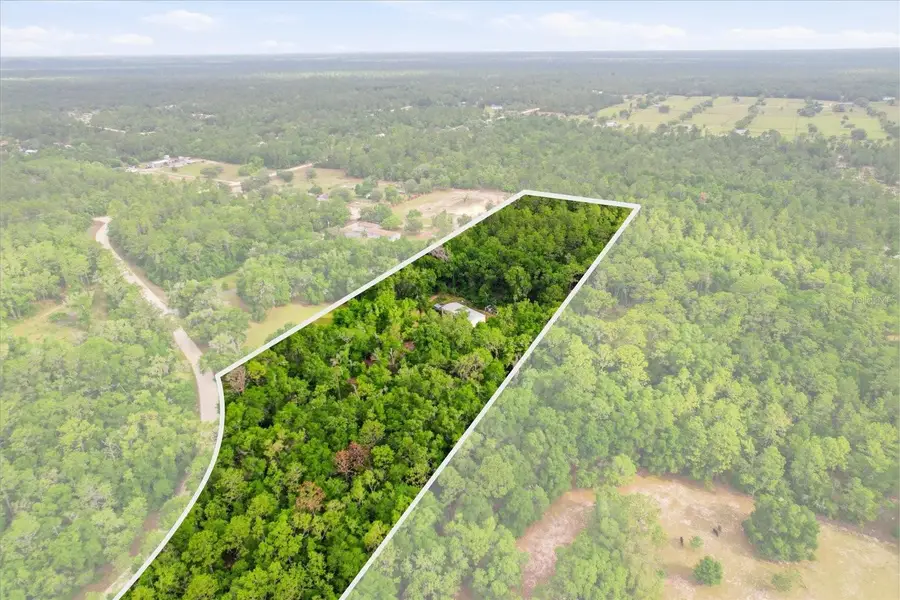 3883 SW 165th Avenue Road, Ocala, FL 34481 - #3